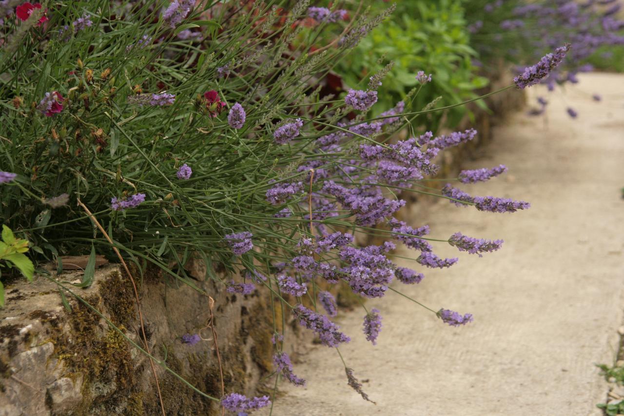 לינה וארוחת בוקר Ancy-le-Franc Domaine Des Douves מראה חיצוני תמונה